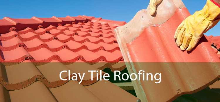 Clay Tile Roofing Terracotta Spanish, How To Replace A Clay Roof Tile