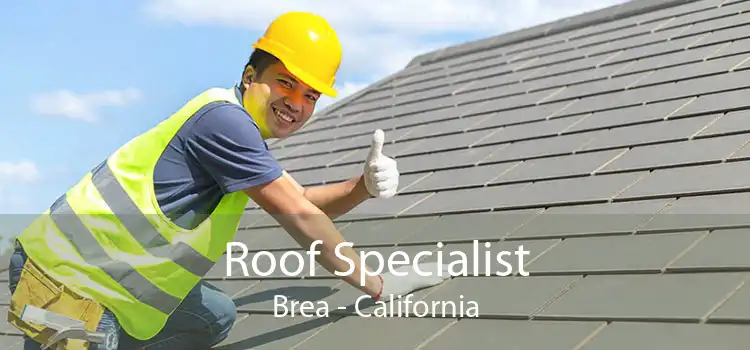 Roof Specialist Brea - California