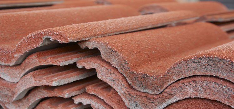Concrete Tile Roofing