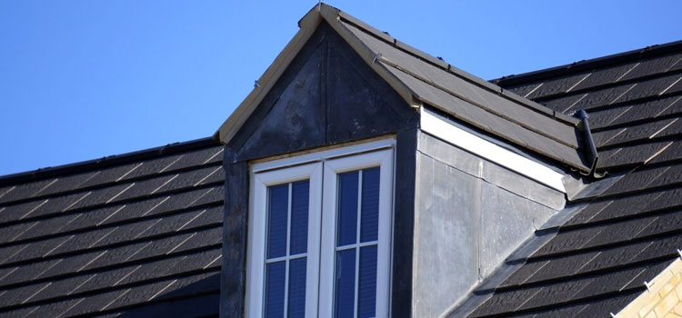 Residential Green Roof 