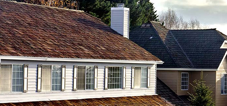 Cedar Wood Shake Shingles